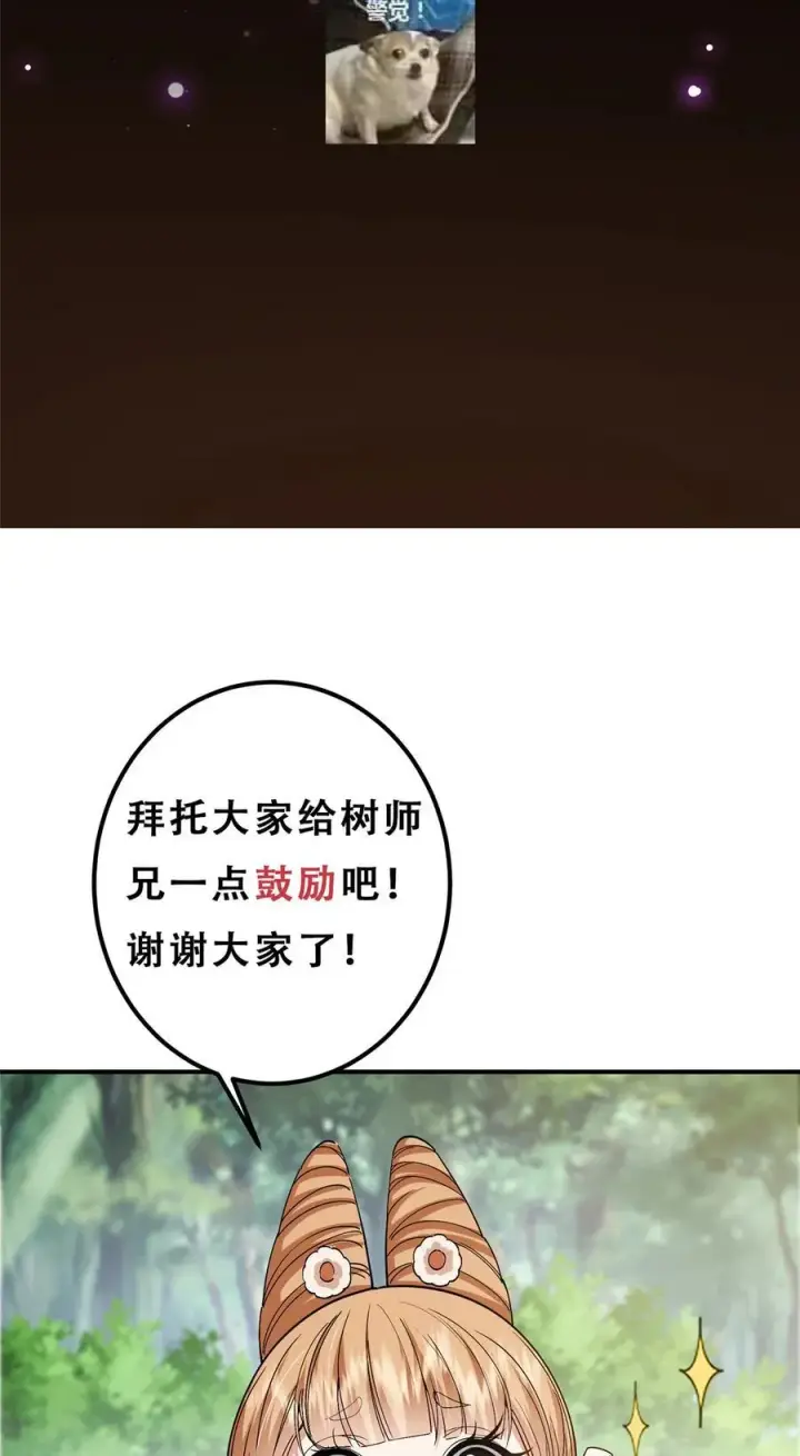 《掌门低调点》361 我已悟到九境之密图53