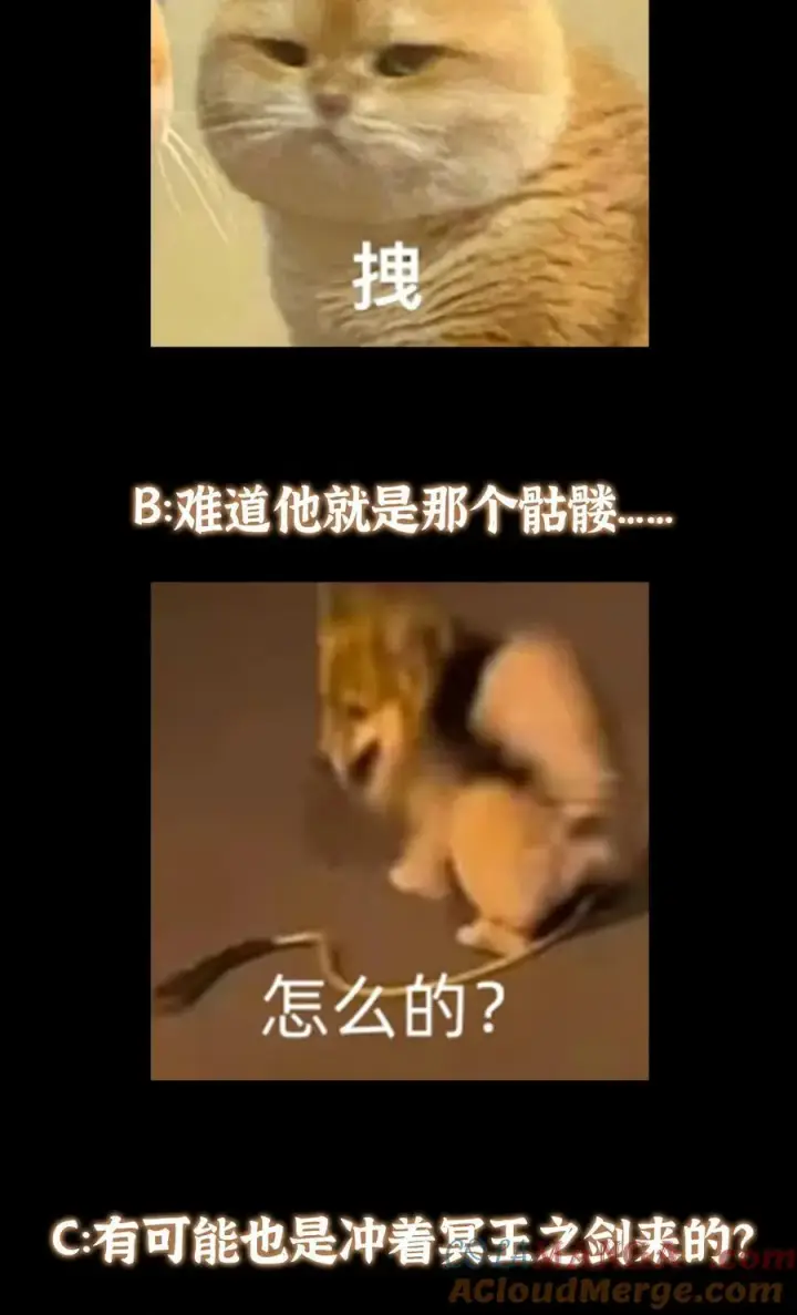 《掌门低调点》378 天机散人的大棋！图55