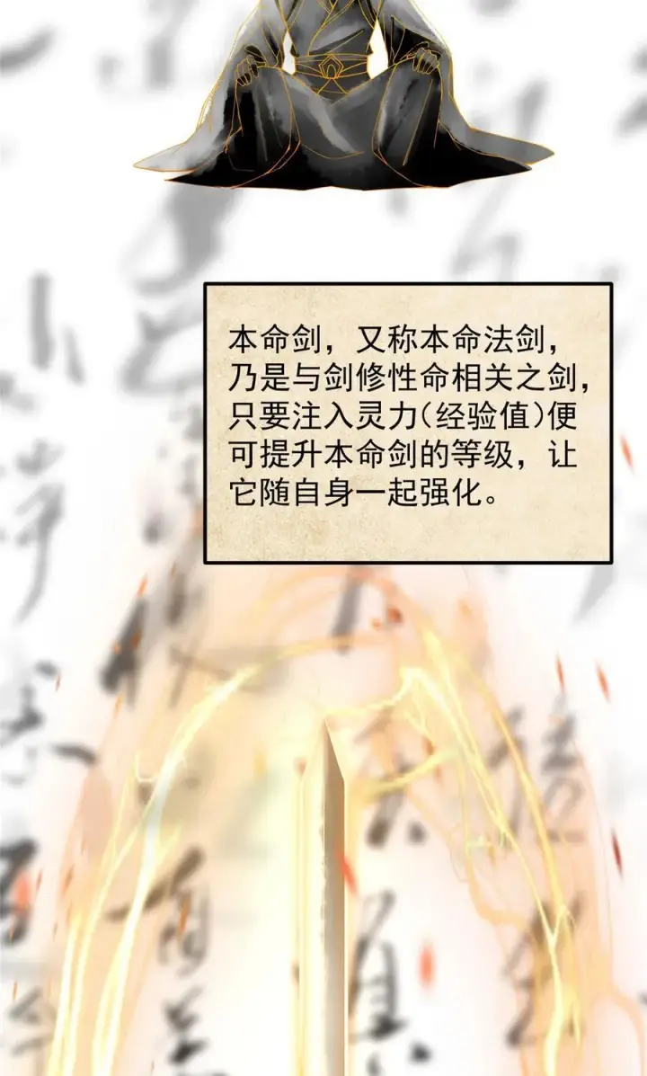 《掌门低调点》392 本命剑之于剑修图5