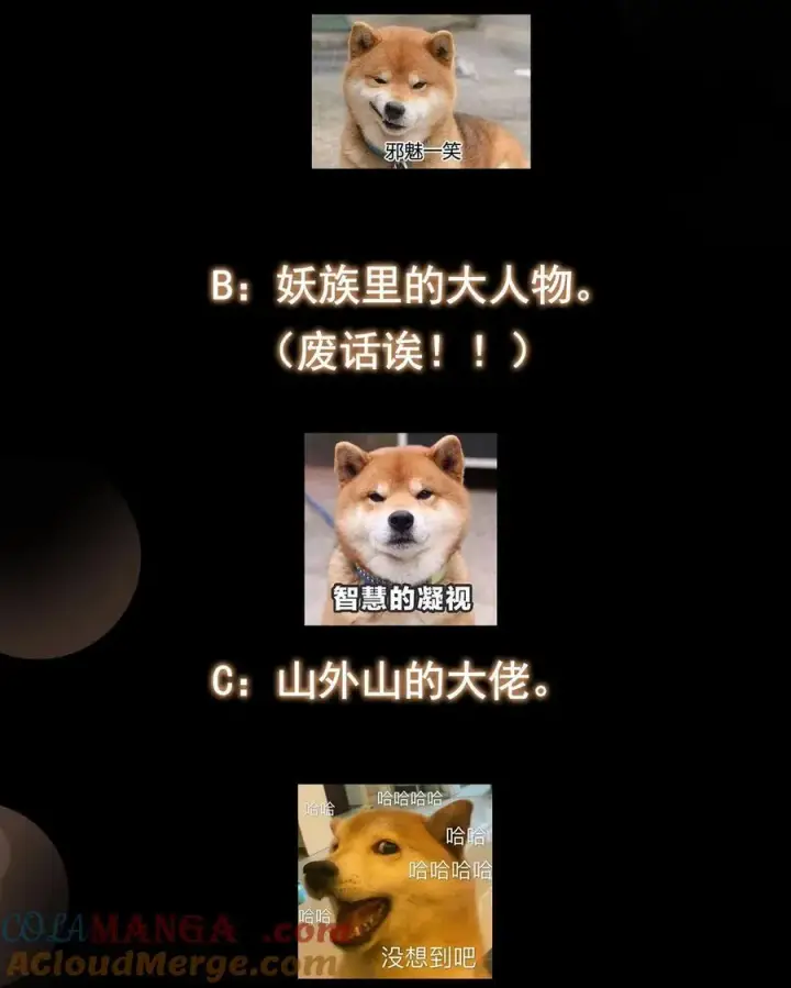 《掌门低调点》409 黑白分明的诡林图82