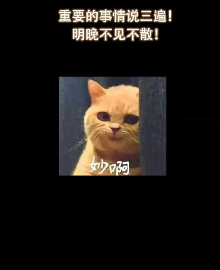 《掌门低调点》419 总是有人要死的图87