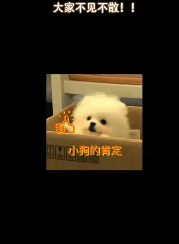 《掌门低调点》430 这收获分配时刻图72