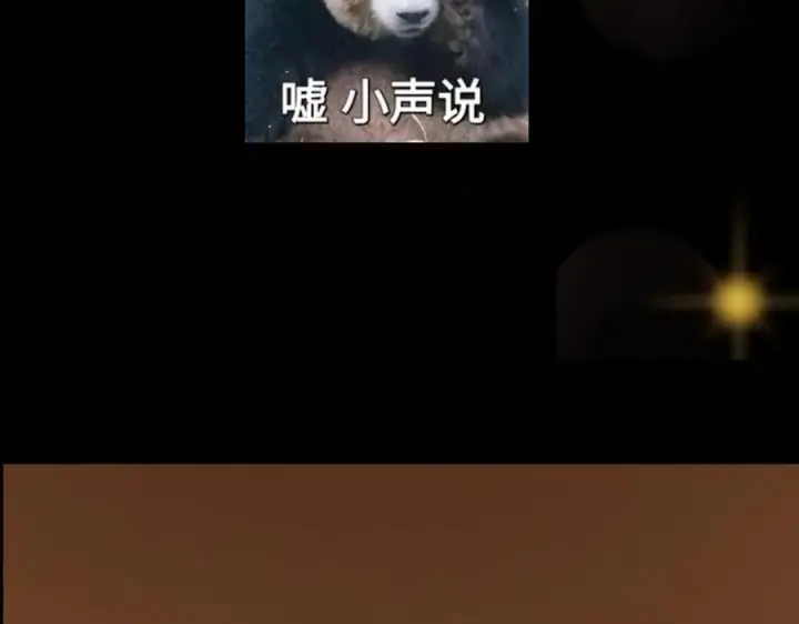 《掌门低调点》448 他好像想起了些什么图227