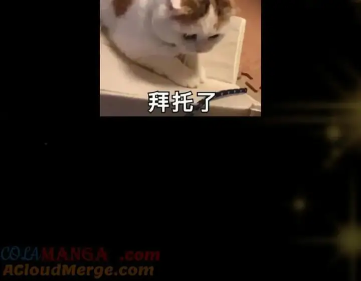 《掌门低调点》453 平和又美好的一切图217