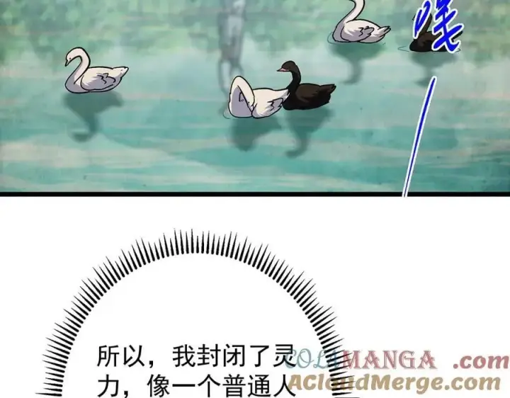 《掌门低调点》453 平和又美好的一切图61