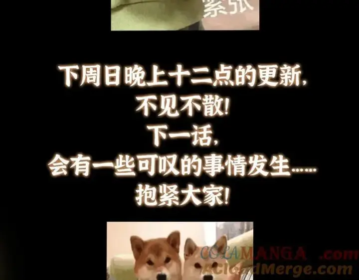 《掌门低调点》478 最后一战让为师来！图269
