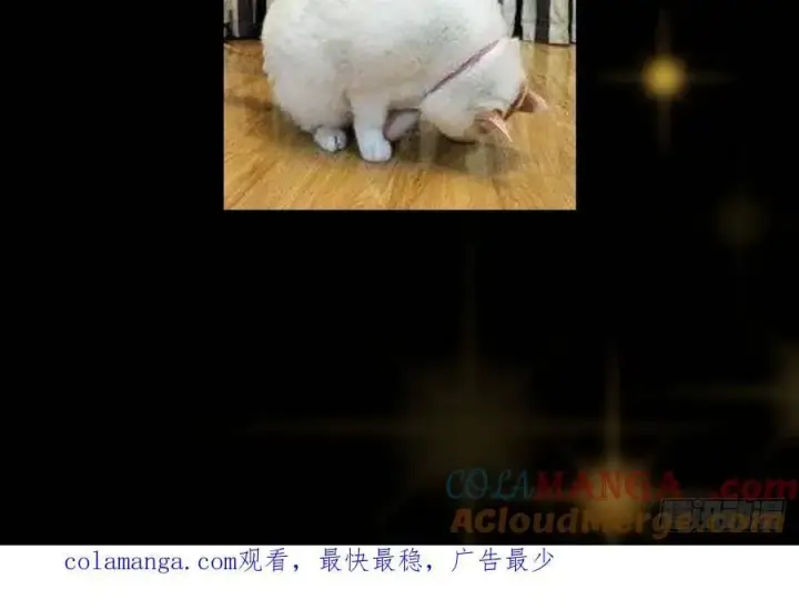 《掌门低调点》请假条 3图3