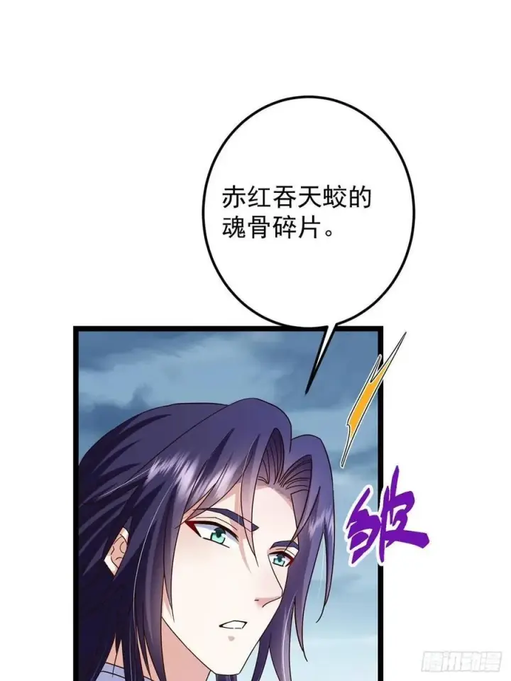 《掌门低调点》503 紫月会真正的大佬图45