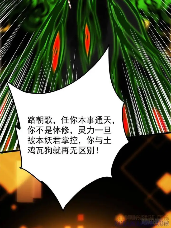 《掌门低调点》540 这便是七境大圆满！图40