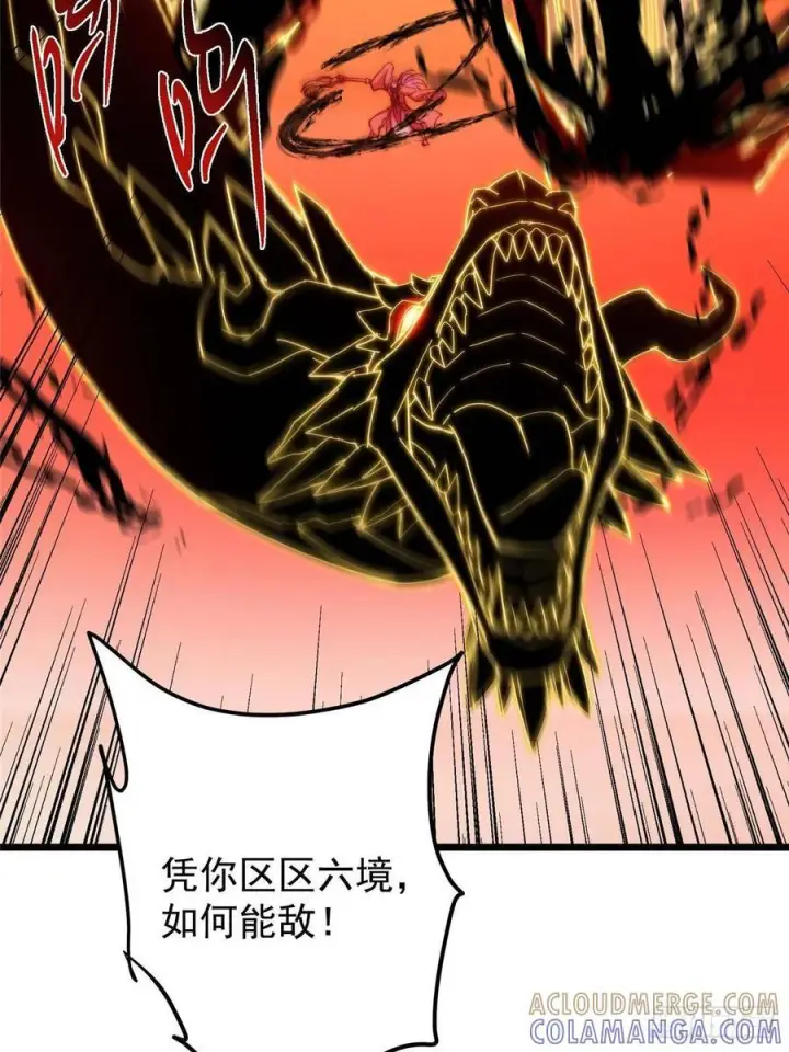 《掌门低调点》540 这便是七境大圆满！图67