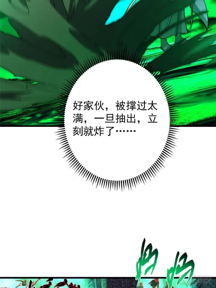 《掌门低调点》557 缩头乌龟专属法宝图13