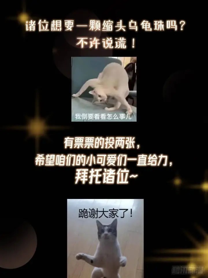 《掌门低调点》557 缩头乌龟专属法宝图82