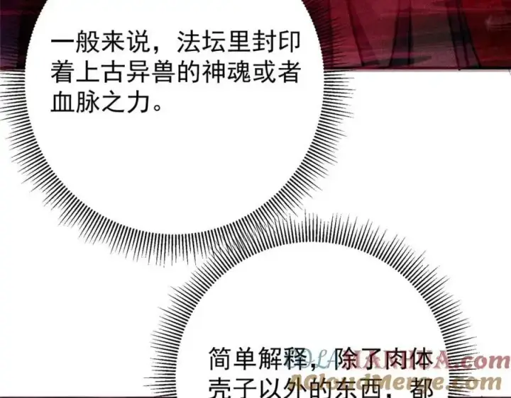《掌门低调点》302 紫月会法坛的运作图133