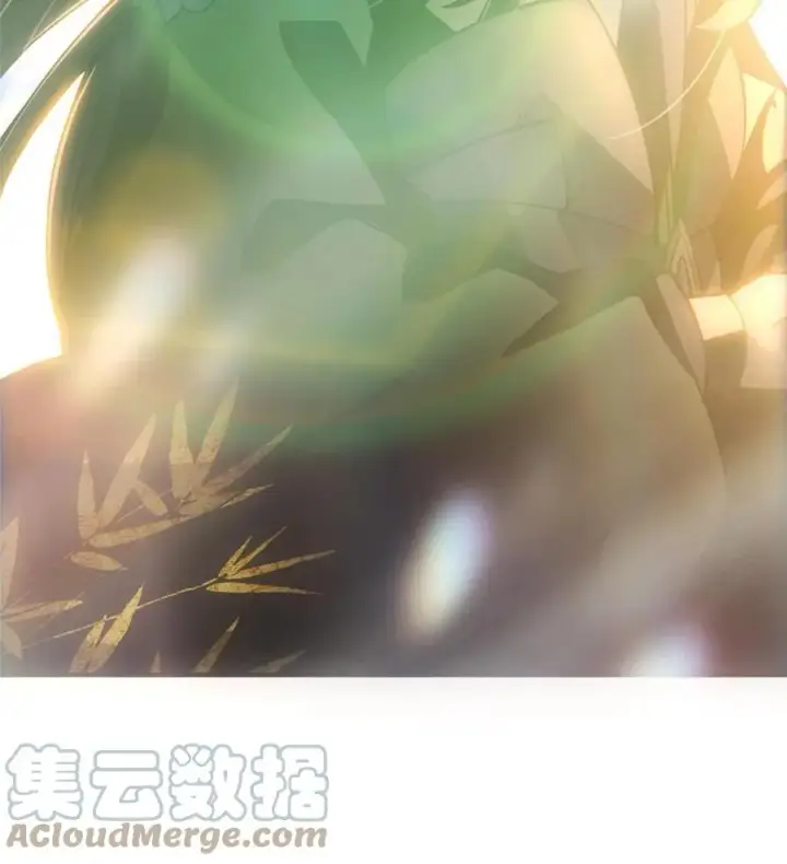 《掌门低调点》089 哥哥，你要做什么？！图52