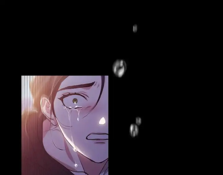《这个婚反正也要完蛋》第11话 短暂的爱情的滋味图68