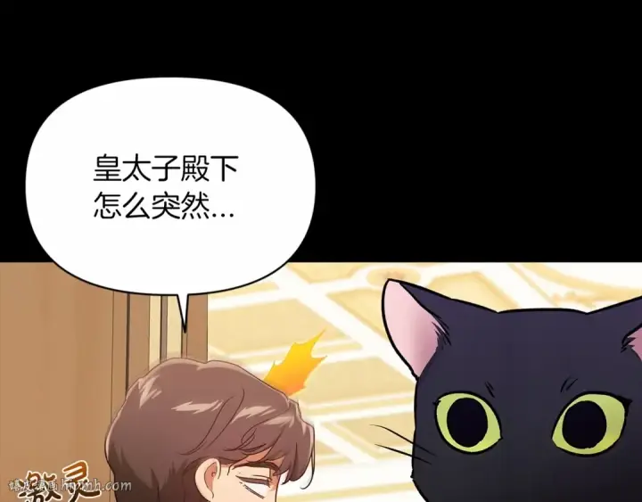 《这个婚反正也要完蛋》第33话 他是我选的图24