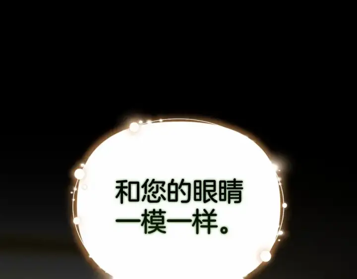 《这个婚反正也要完蛋》第34话 胸针的秘密图121