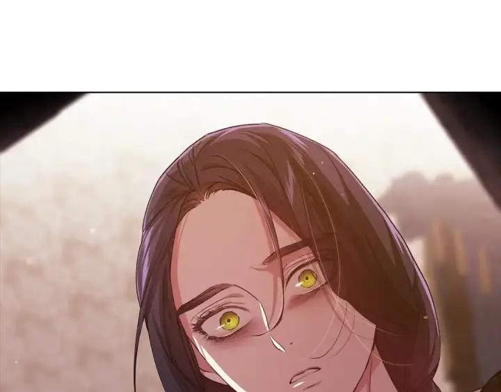 《这个婚反正也要完蛋》第34话 胸针的秘密图173