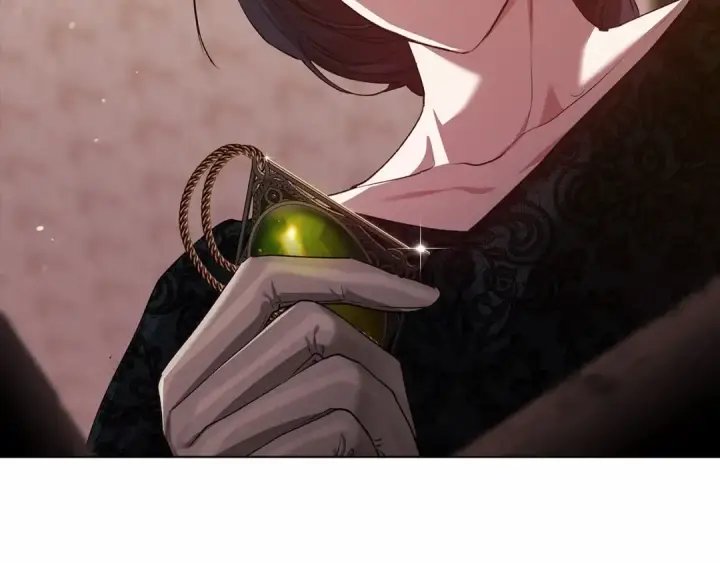 《这个婚反正也要完蛋》第34话 胸针的秘密图174
