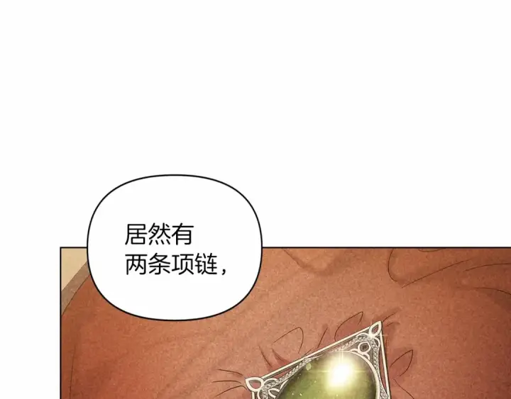 《这个婚反正也要完蛋》第34话 胸针的秘密图177