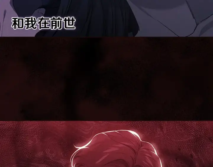 《这个婚反正也要完蛋》第34话 胸针的秘密图97