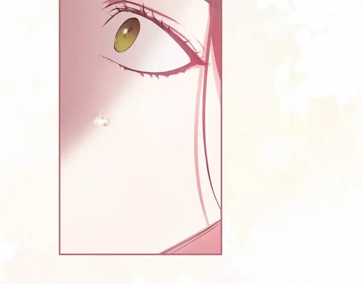《这个婚反正也要完蛋》第38话 不是缺陷图11