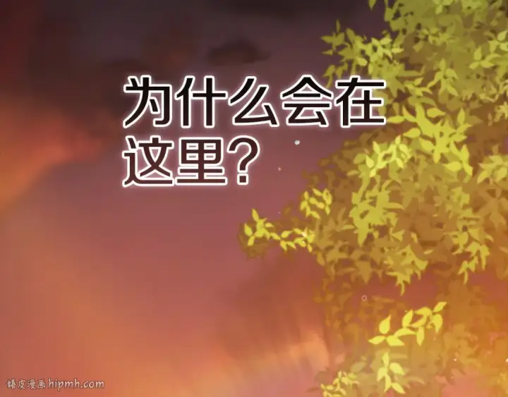 《这个婚反正也要完蛋》第53话 最高贵的女人图208