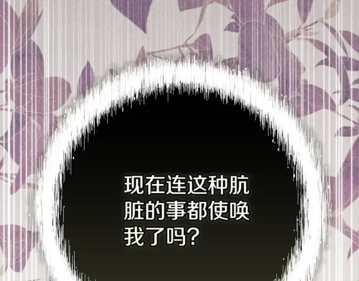 《这个婚反正也要完蛋》第二季完结话图199