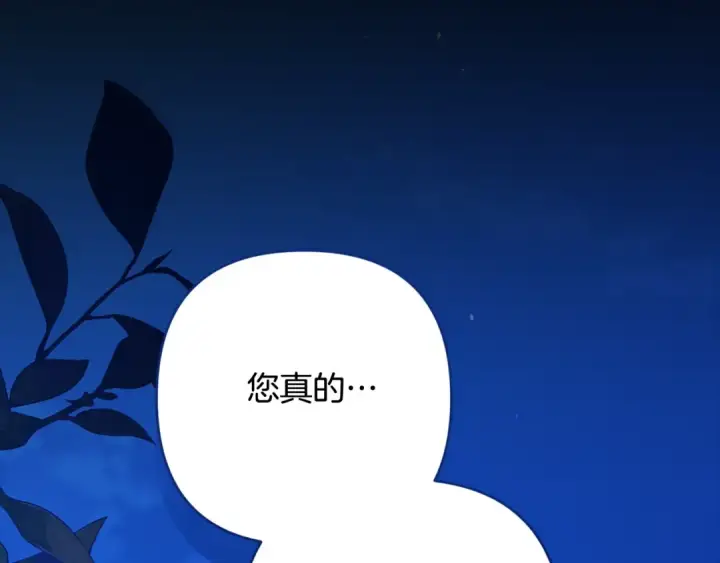 《这个婚反正也要完蛋》第二季完结话图2