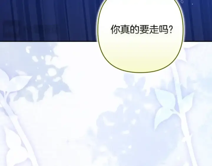 《这个婚反正也要完蛋》第二季完结话图33