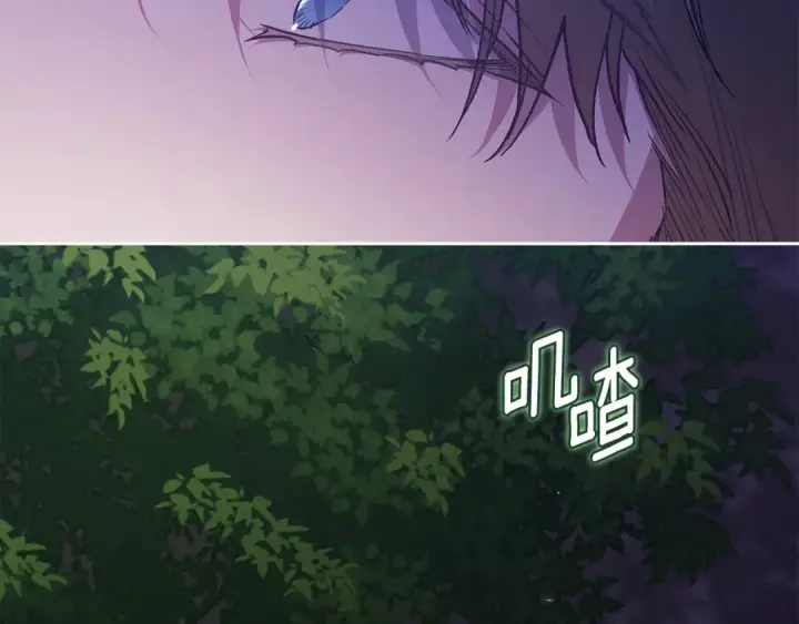 《这个婚反正也要完蛋》第二季完结话图63
