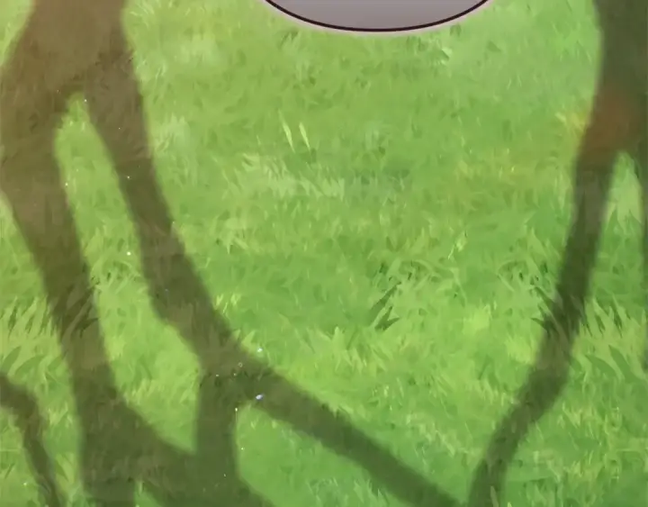 《这个婚反正也要完蛋》第92话 我们彼此相爱着图276