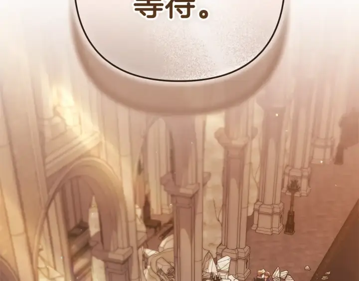 《这个婚反正也要完蛋》第100话 破坏圣像图108