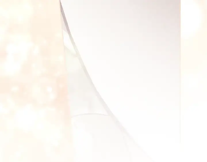 《这个婚反正也要完蛋》第100话 破坏圣像图259