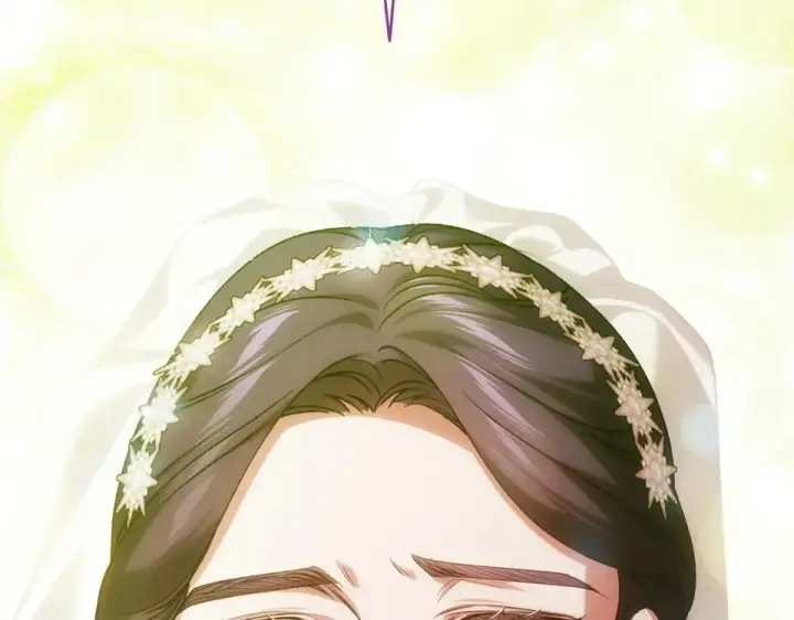 《这个婚反正也要完蛋》第113话 坦白图177