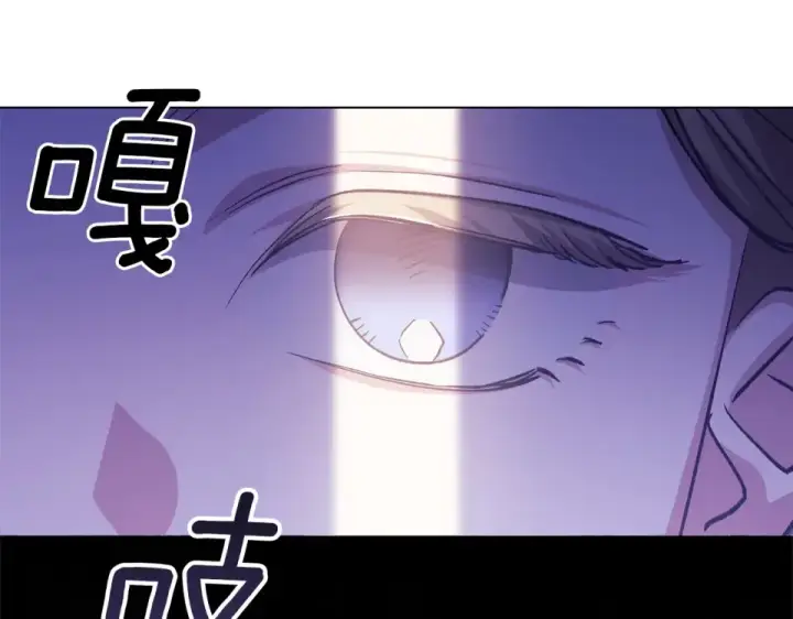 《这个婚反正也要完蛋》第114话 无法原谅图214