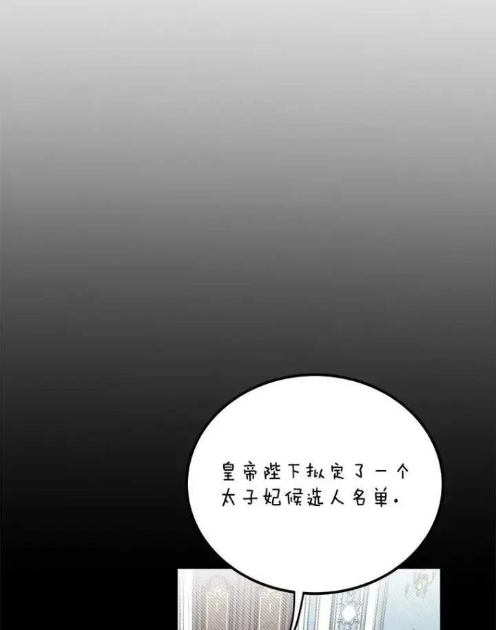 《这个男主归我了》2.太子妃候选人图18