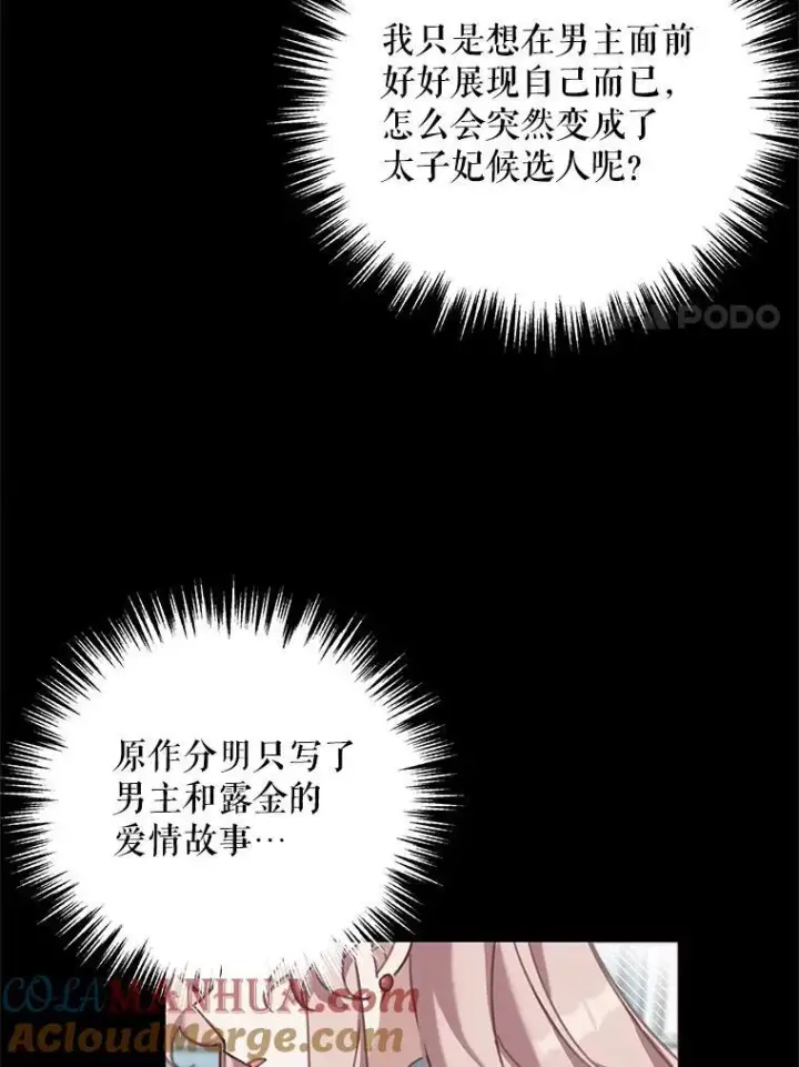 《这个男主归我了》2.太子妃候选人图22