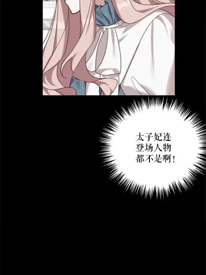 《这个男主归我了》2.太子妃候选人图23