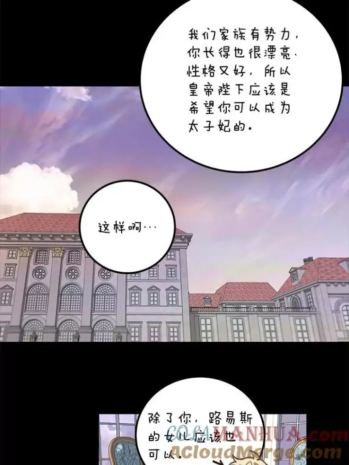 《这个男主归我了》2.太子妃候选人图34