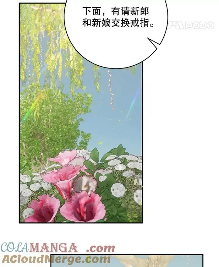 《这个男主归我了》46.喜结连理图28