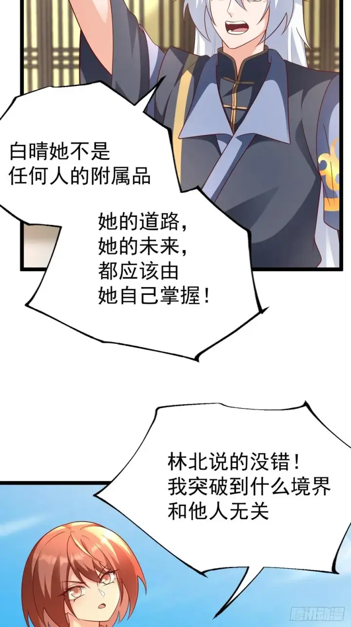 《正义的我被系统逼成大反派》金丹异象图20