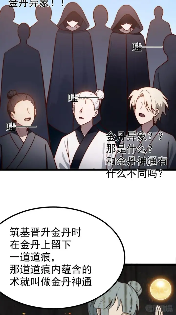 《正义的我被系统逼成大反派》金丹异象图36