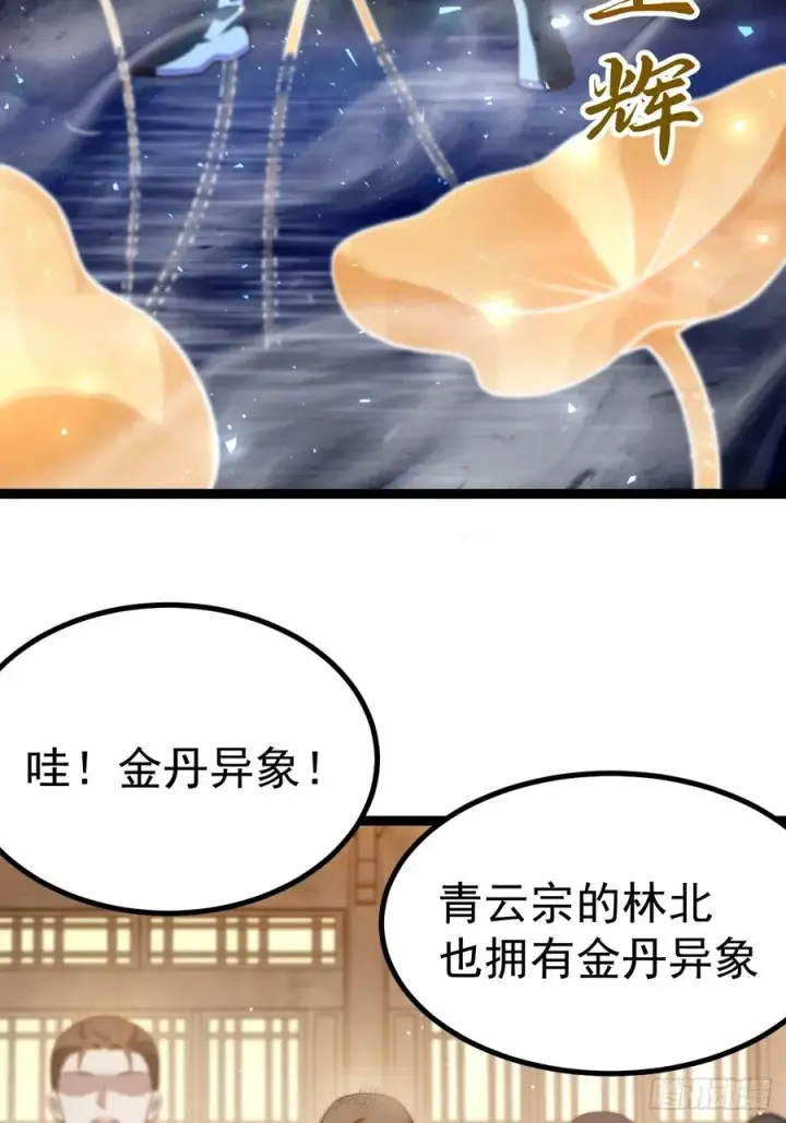 《正义的我被系统逼成大反派》青莲摇曳映星辉图30