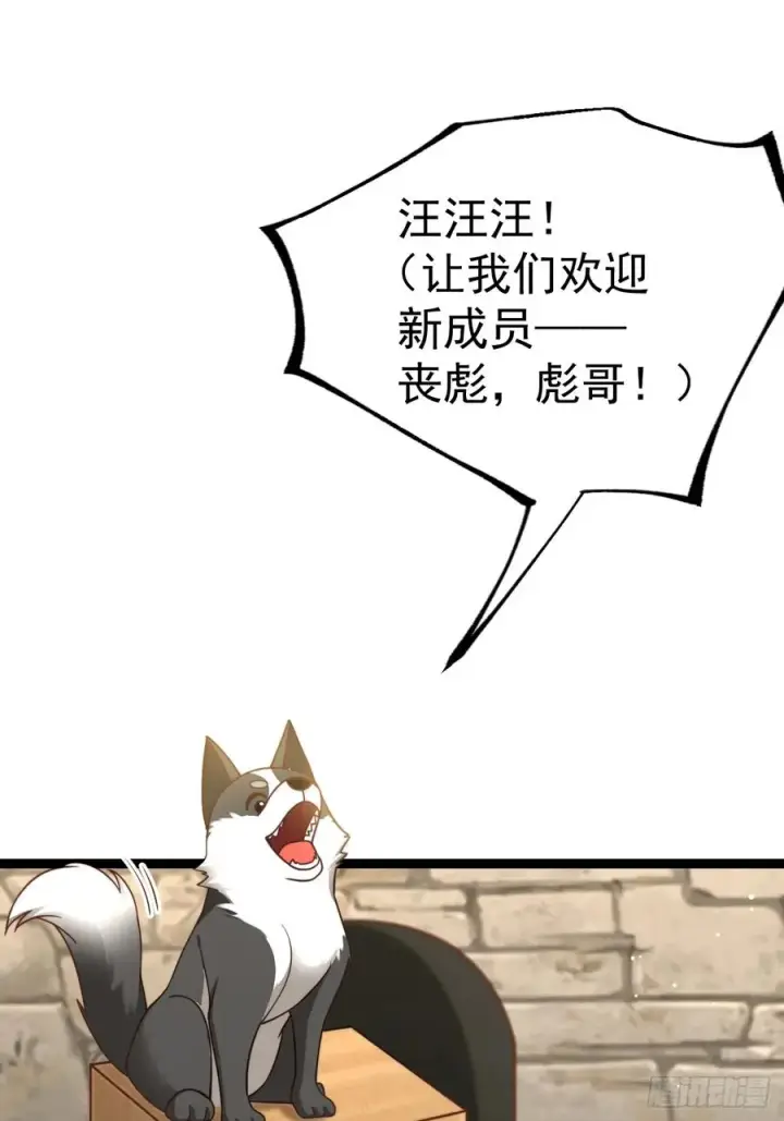 《正义的我被系统逼成大反派》汪汪汪图12