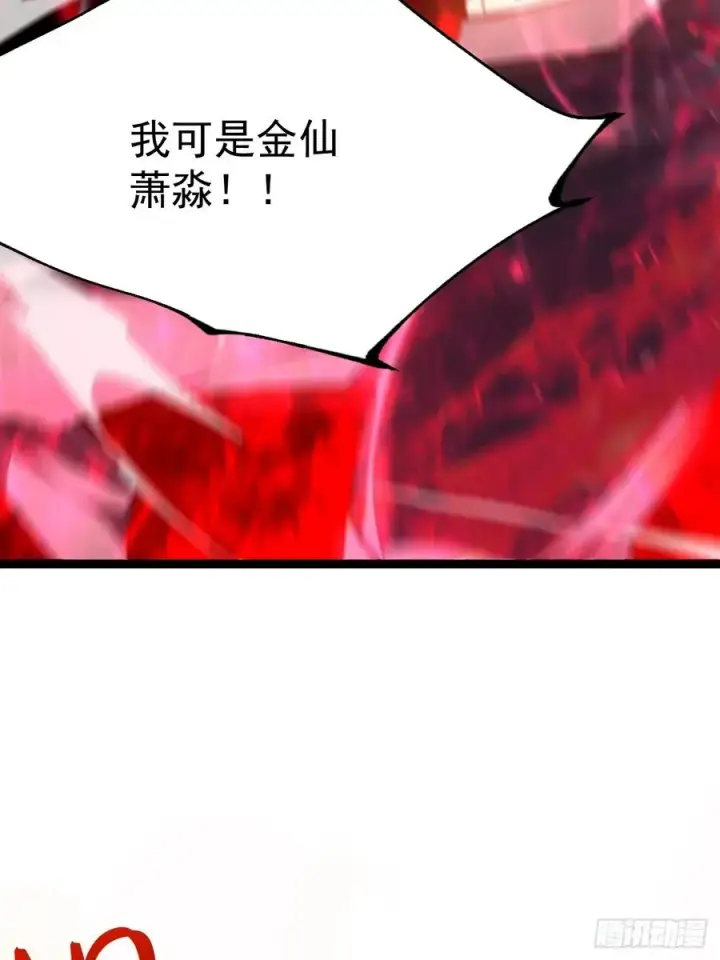 《正义的我被系统逼成大反派》金仙萧淼图36