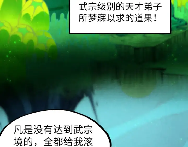 《这一世我要当至尊》第256话 七宿道果图38