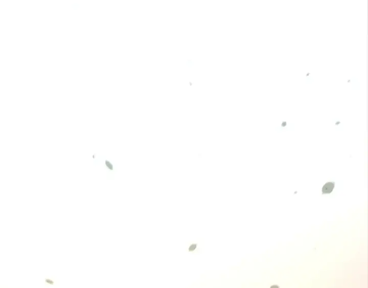 《这一世我要当至尊》第438话 宋月扬城（二）图54