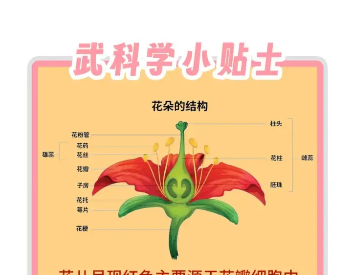 《这一世我要当至尊》第493话 玄器图175