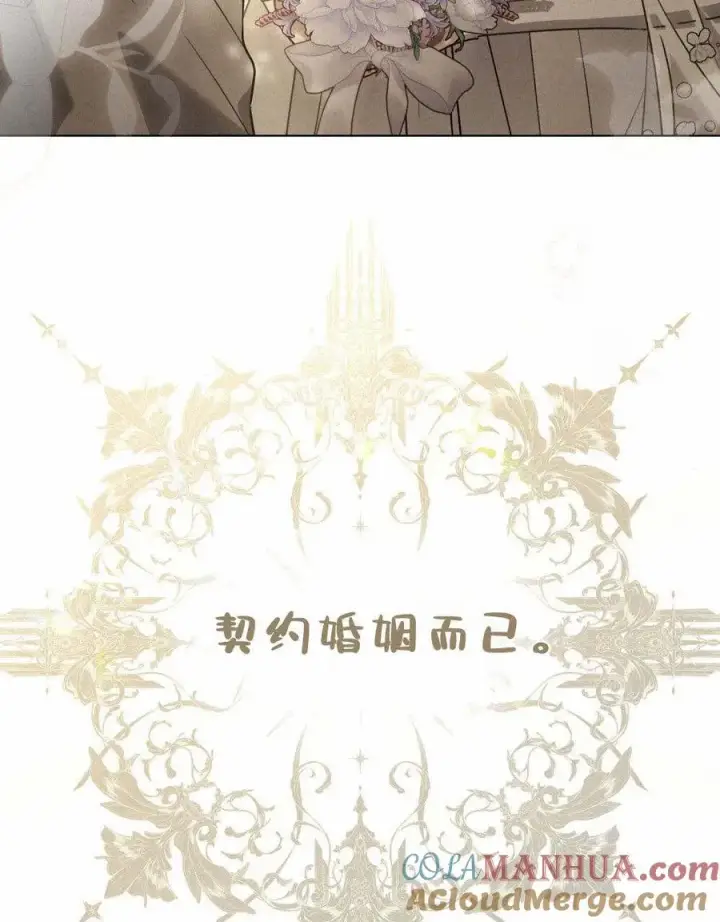 《只是契约婚姻而已》序图28
